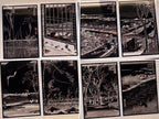 japanese woodcuts cyanotype stencils