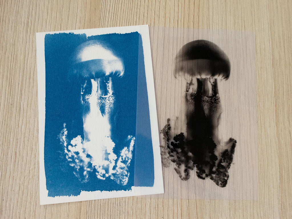 jellyfish solar printing art