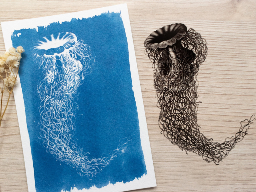 jellyfish stencils for solar printing kit