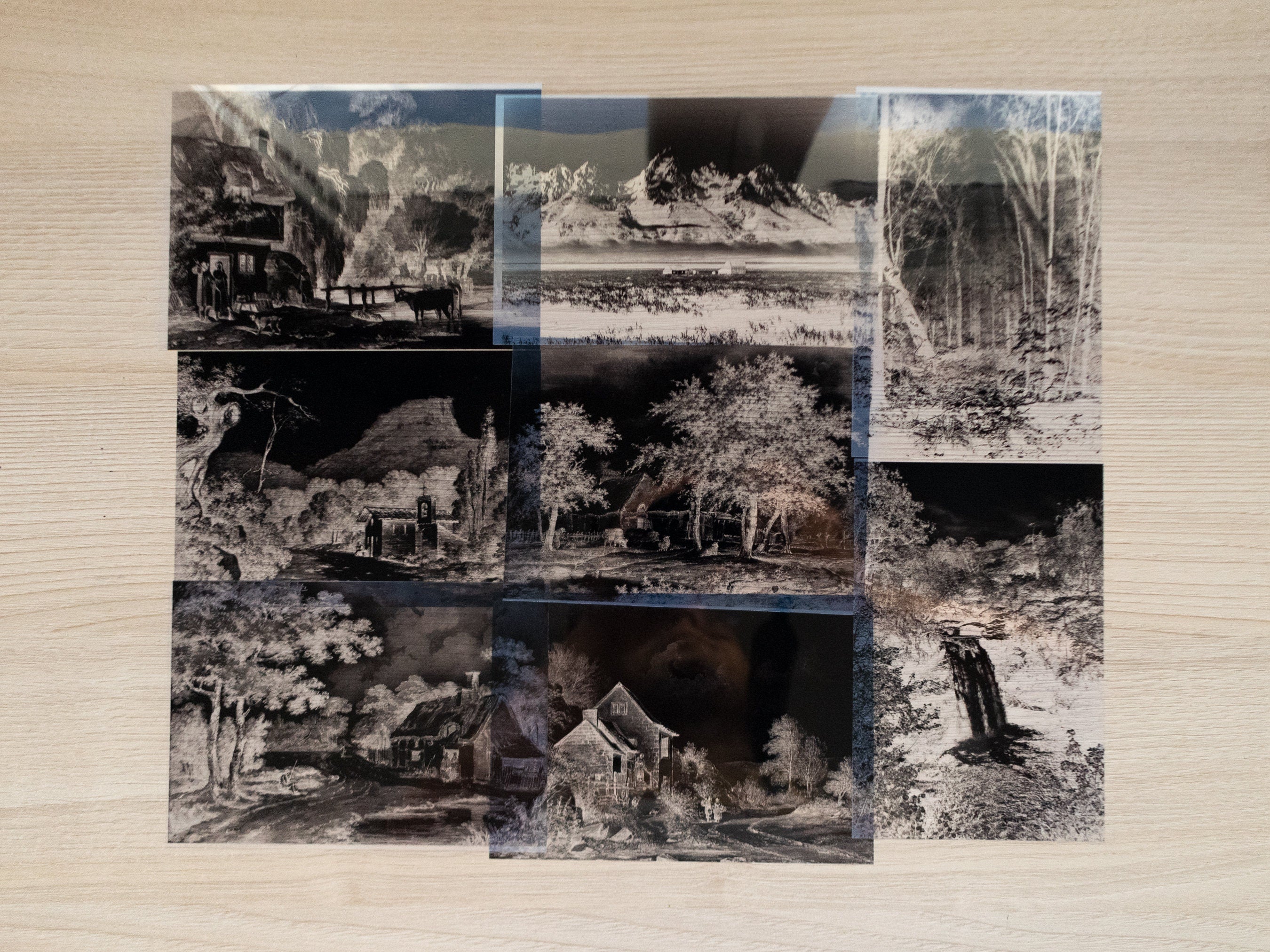 landscapes cyanotype negatives