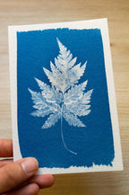 leaf cyanotype art