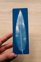 leaf cyanotype print
