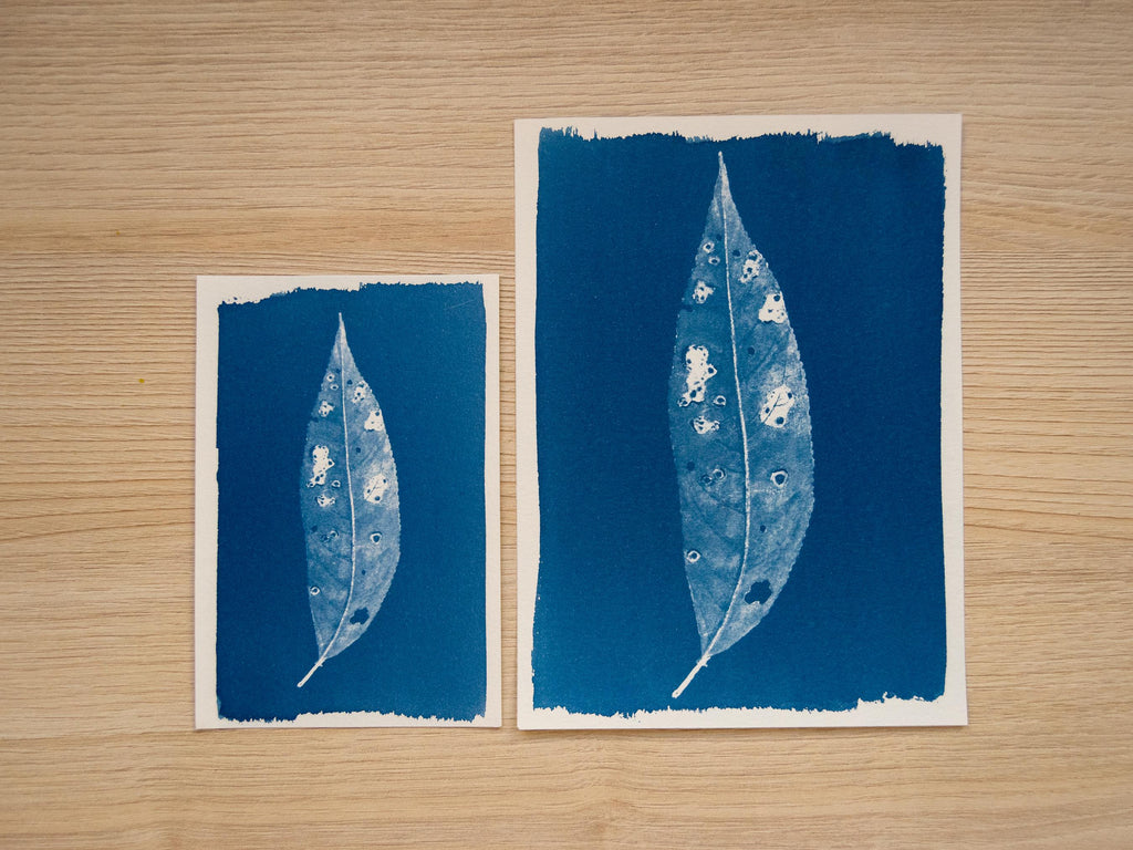 leaf solar printing negative
