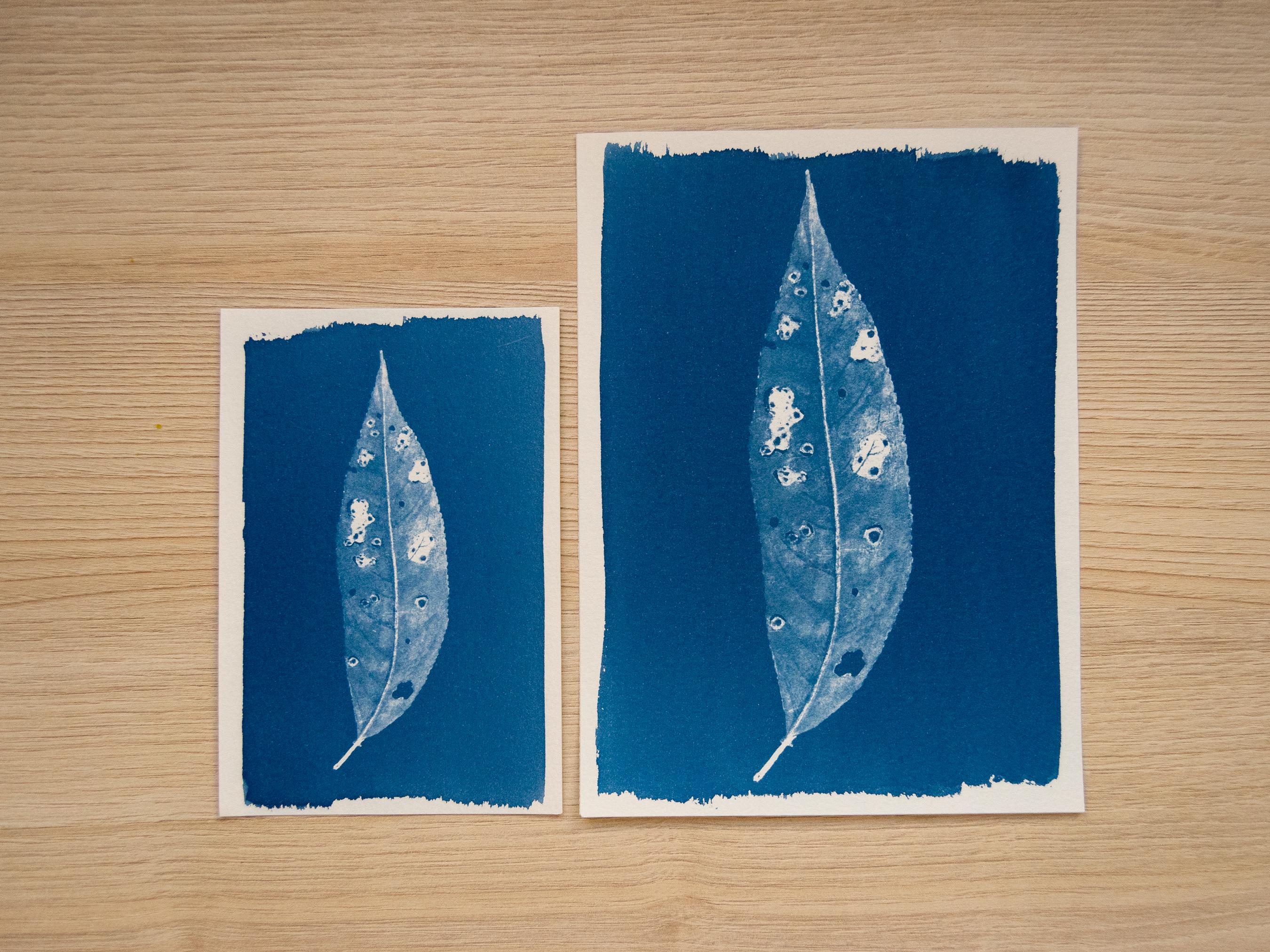 leaf solar printing negative