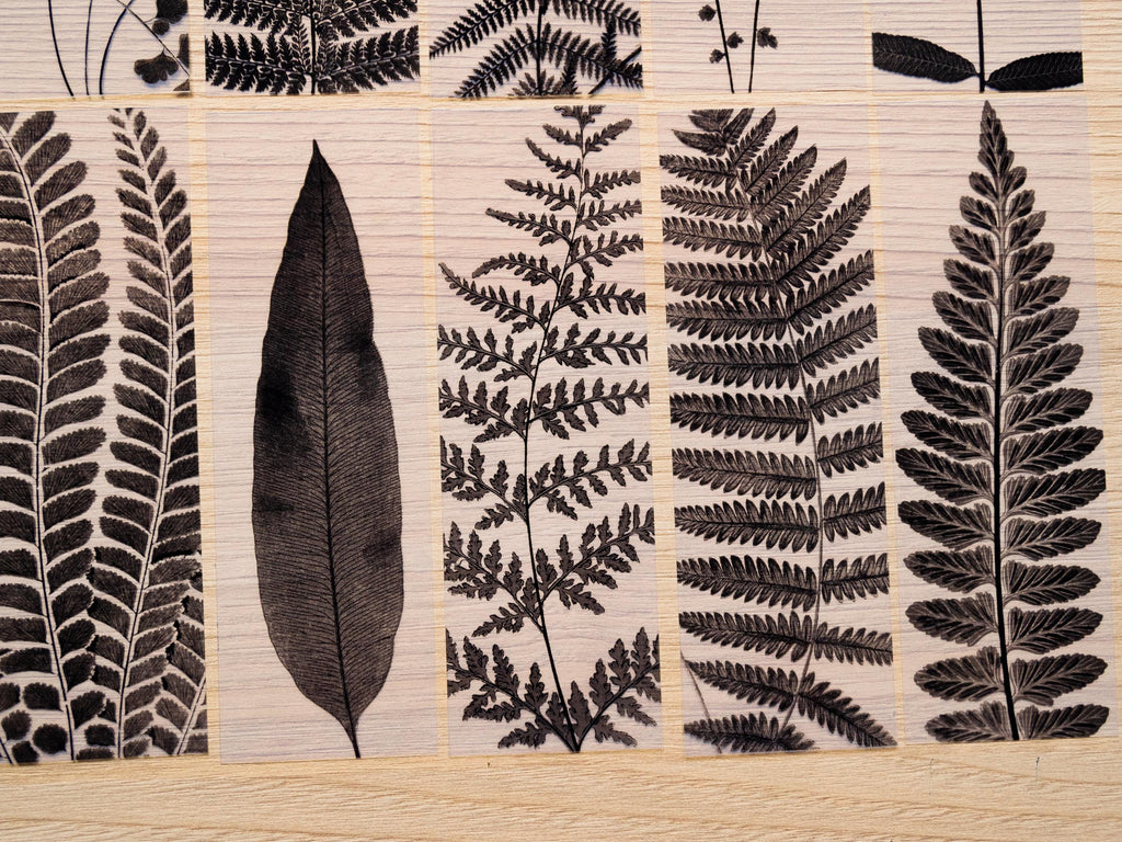 leaves bookmarks