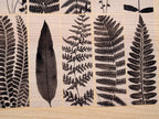 leaves bookmarks
