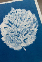leaves for solar printing