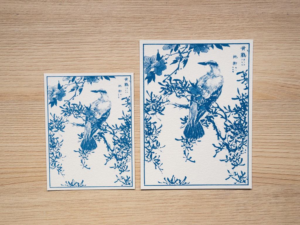 make cyanotype crafts with stencils
