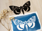make your own cyanotype prints with stencils