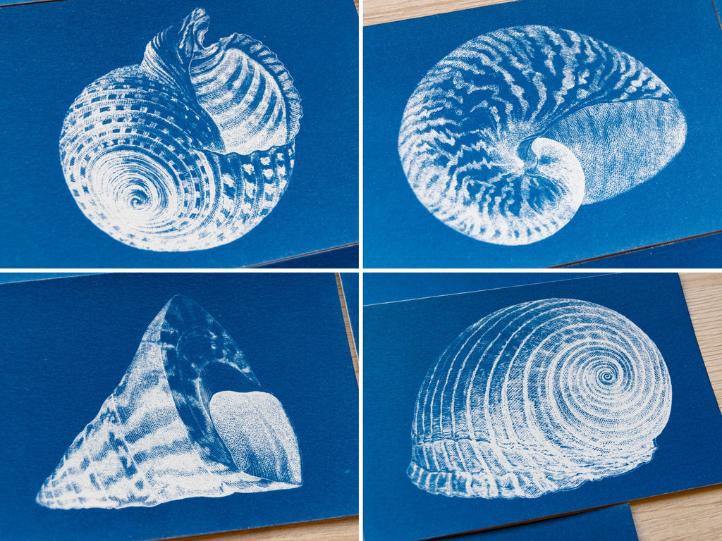 marine animals cyanotype negatives