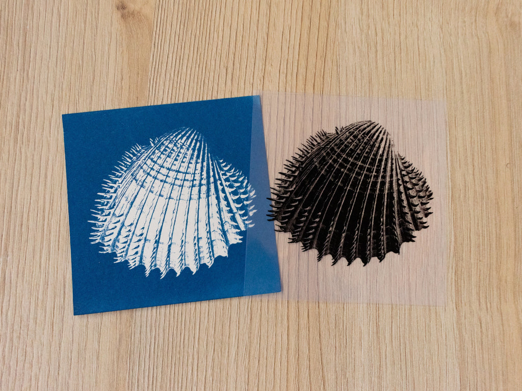marine shell cyanotype print with stencil
