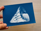 marine shell stencils for cyanotype crafts