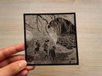 mice cyanotype st