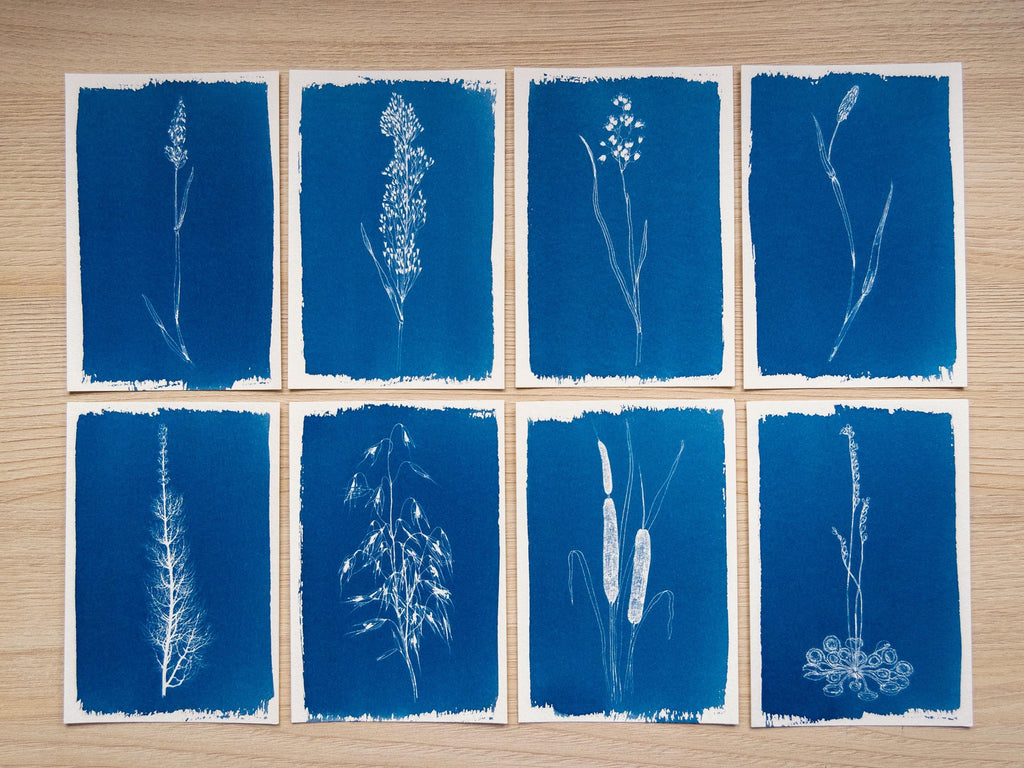 minimalist flower cyanotype prints