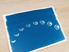 moon phases cyanotype print