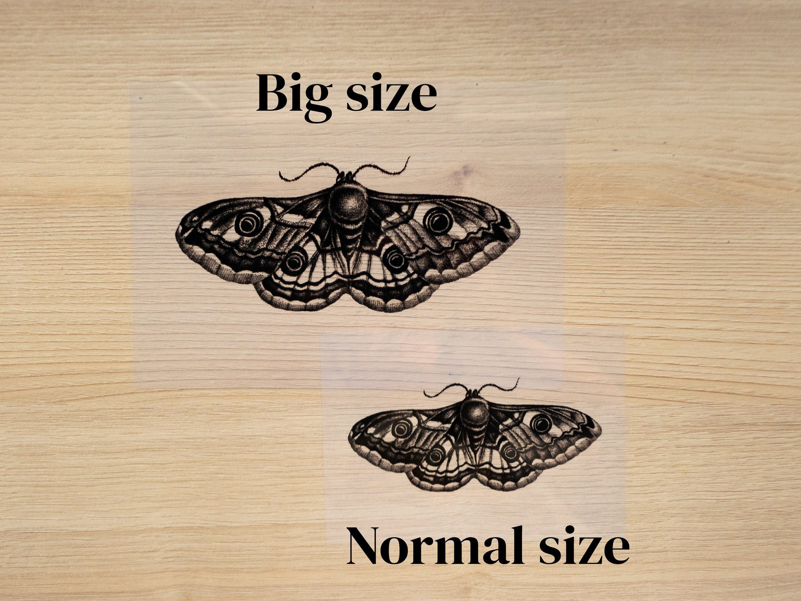 moths cyanotype stencils for cyanotype 