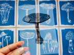 mushroom negative with cyanotype prints