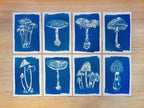 mushrooms cyanotype print