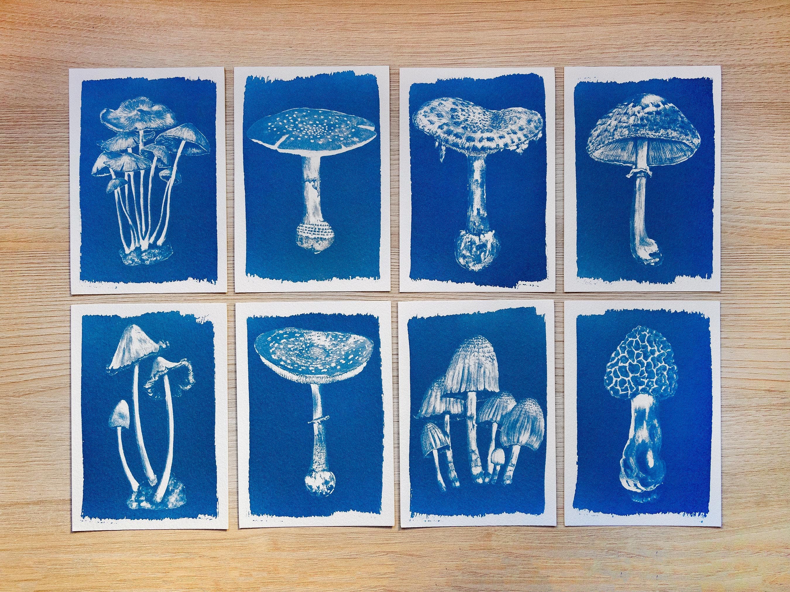 mushrooms cyanotype print