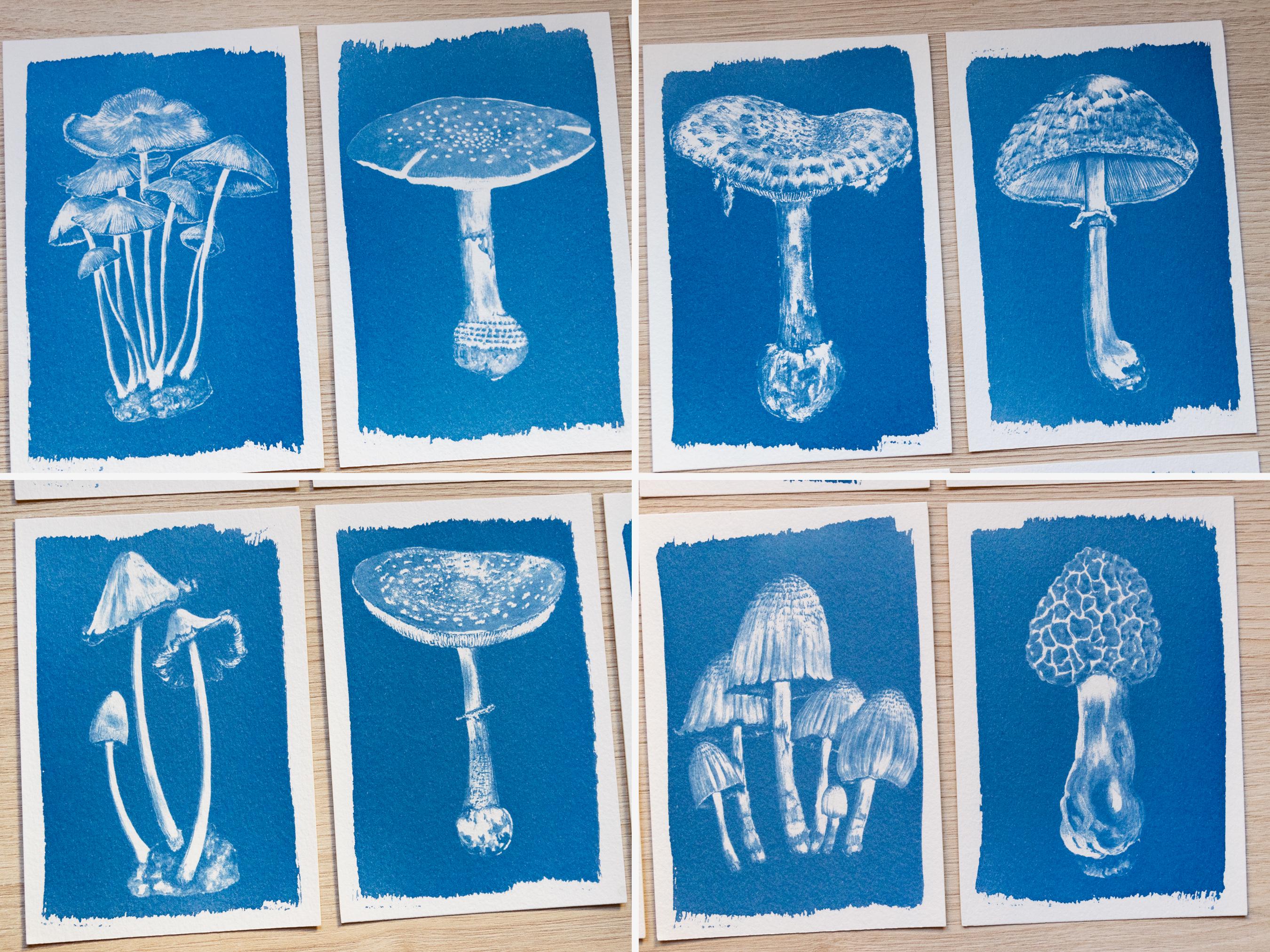 mushrooms cyanotype prints