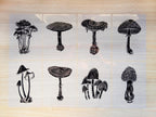 mushrooms cyanotype stencils