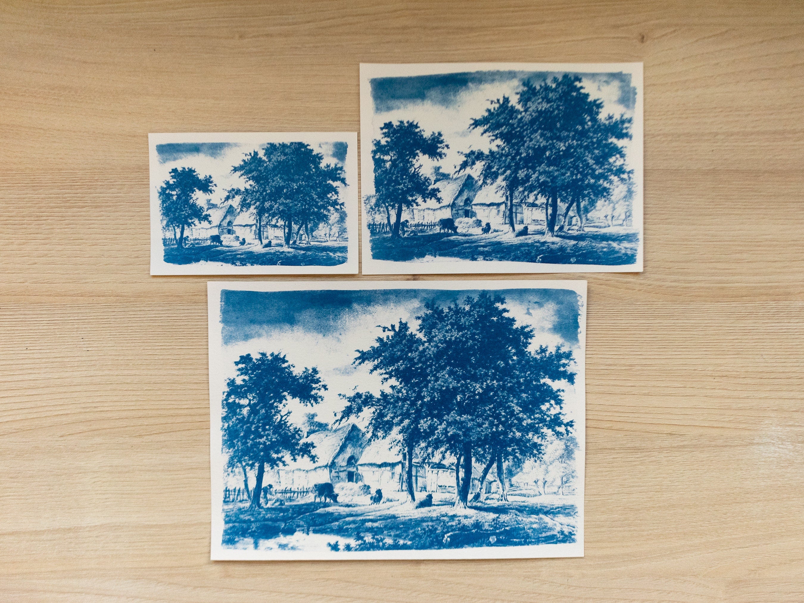 nature lanscapes cyanotype prints