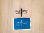 negatives for cyanotype to make prints