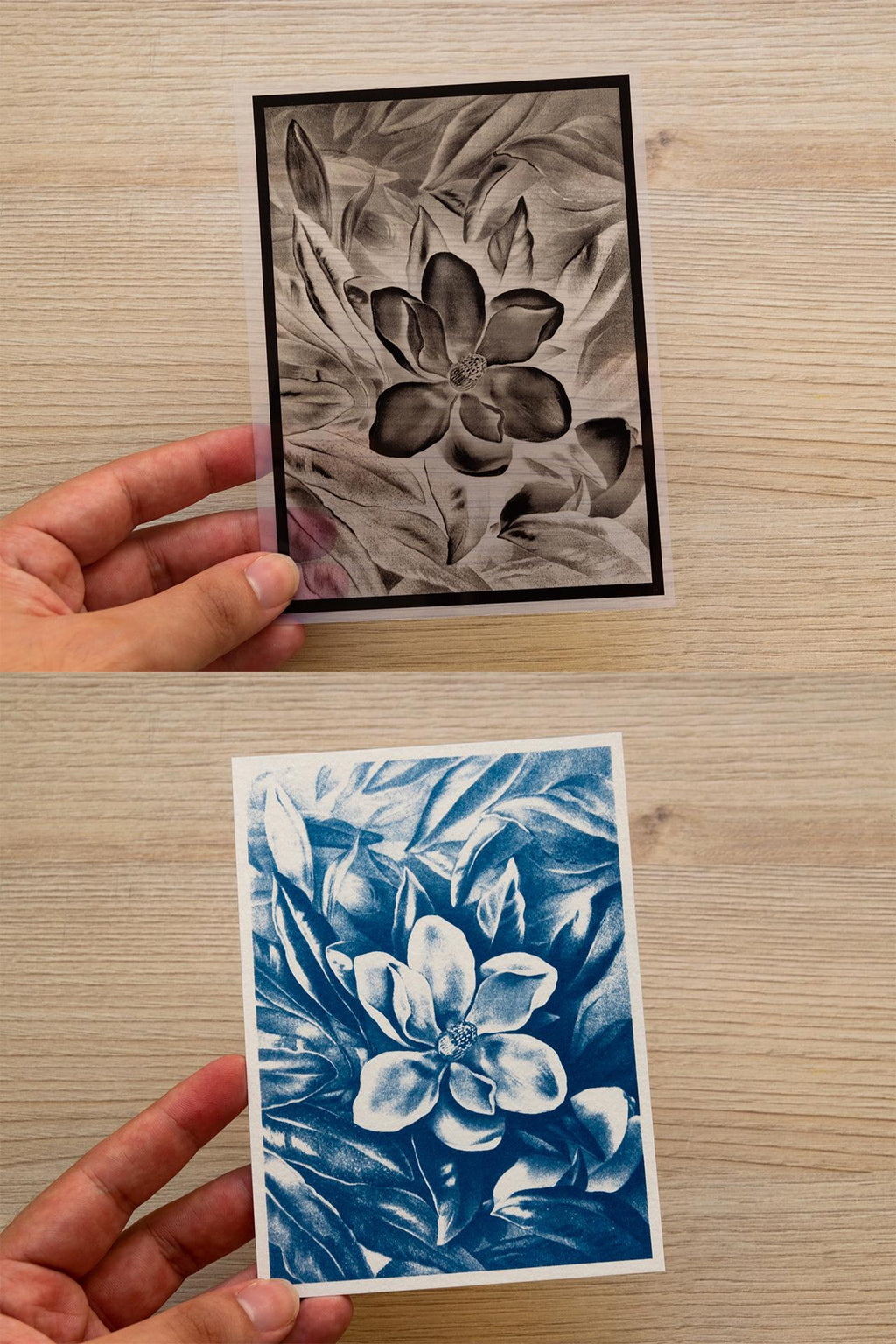 negatives for solar printing