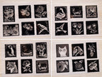 negatives with postage stamp shape for solar printing