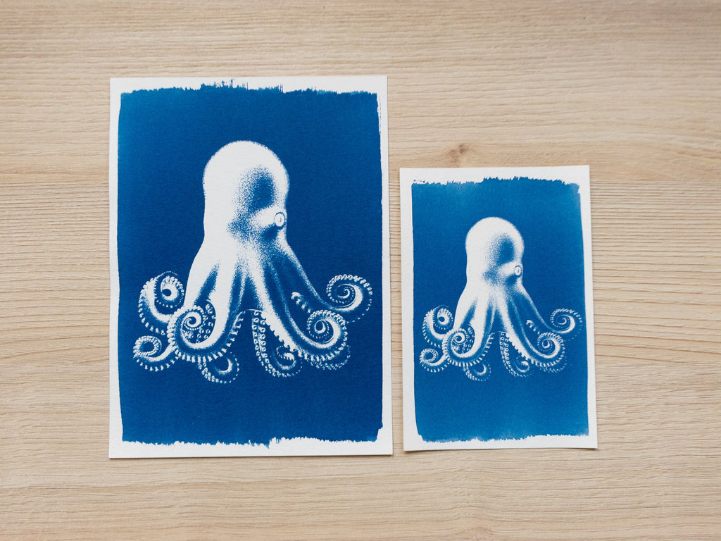 octopus cyanotype print