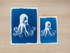 octopus cyanotype print