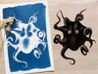 octopus cyanotype print and stencil
