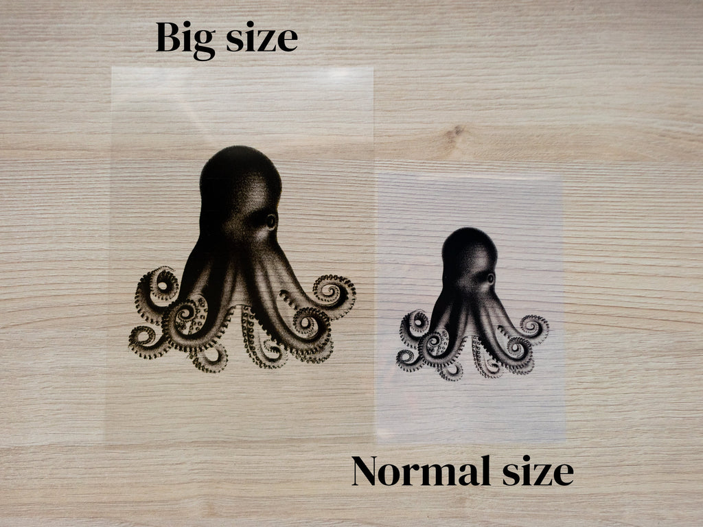 octopus cyanotype stencil