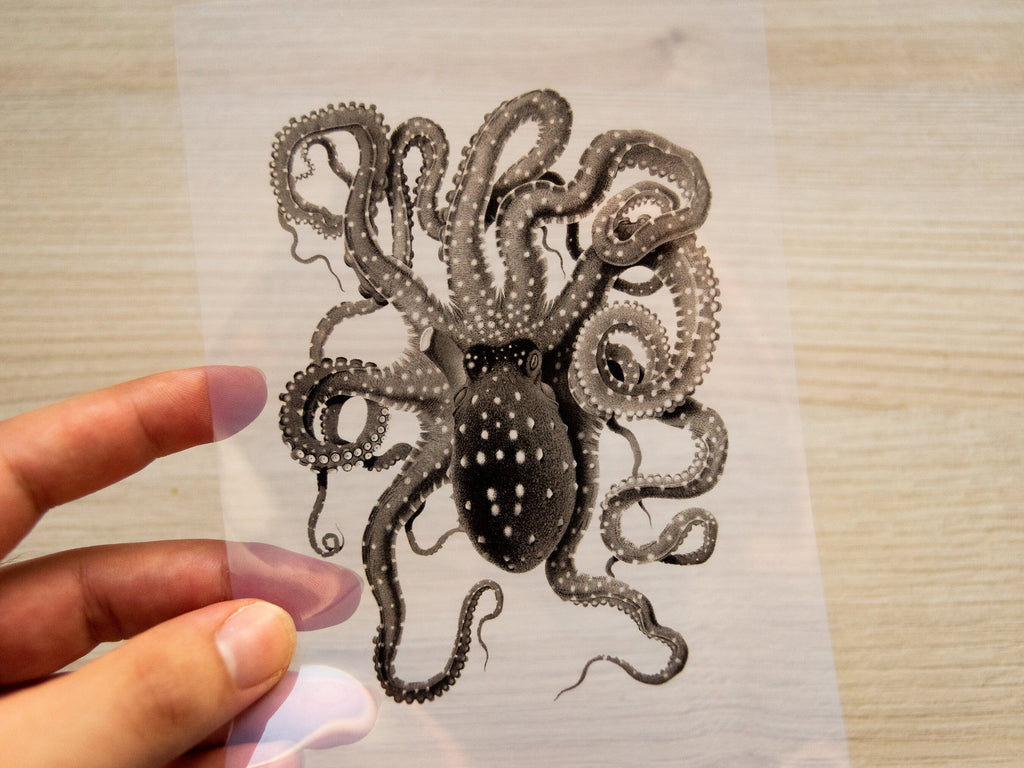 octopus cyanotype stencil for solar printing crafts
