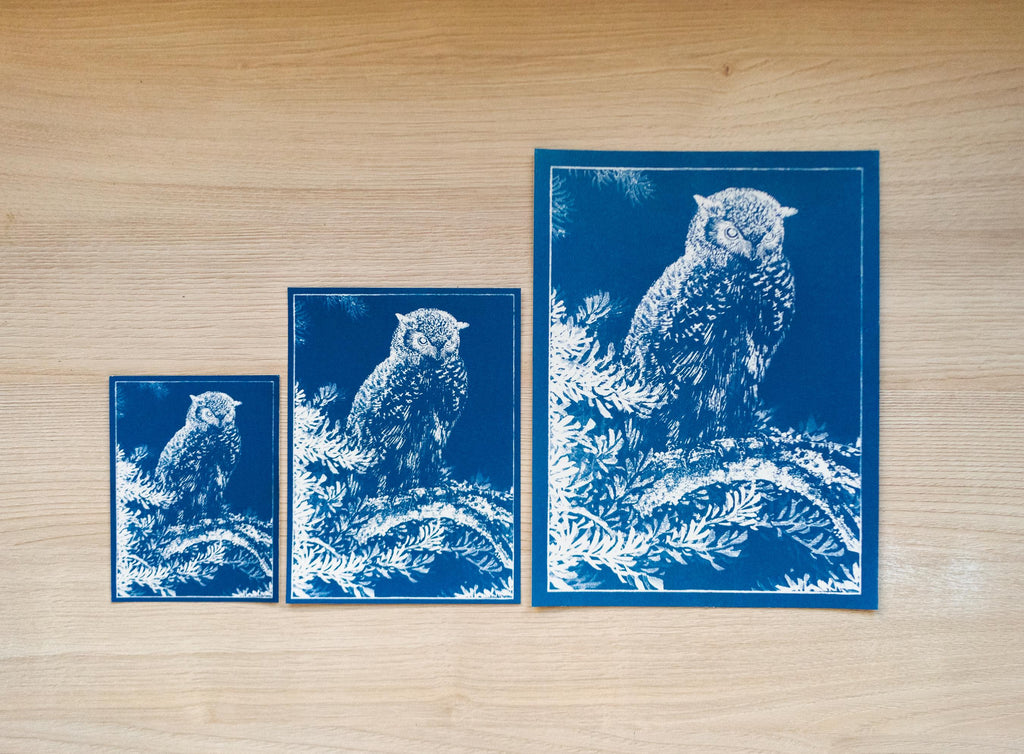 owl cyanotype prints