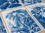 palm tree cyanotype print
