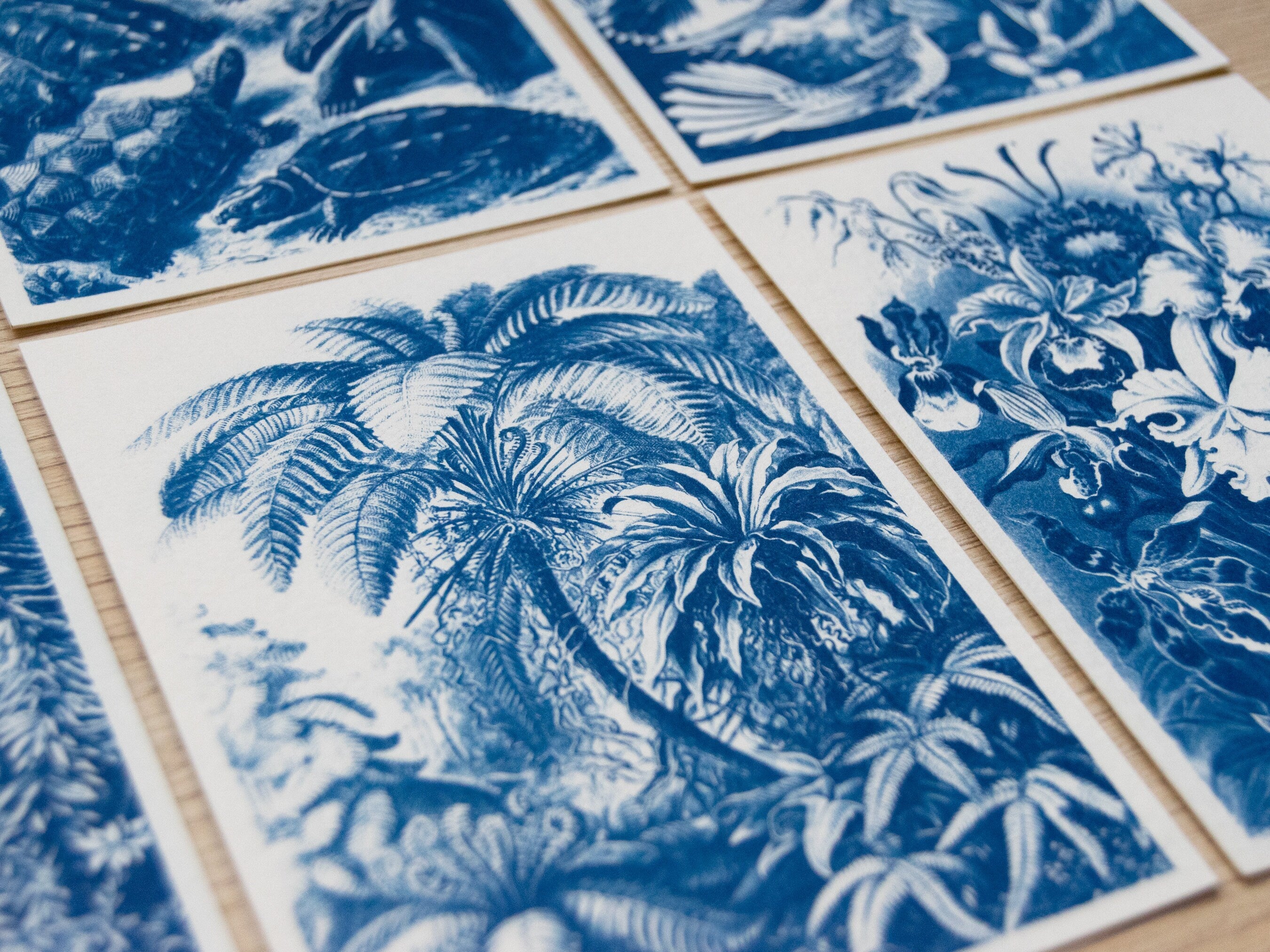 palm tree cyanotype print