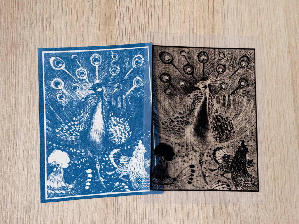peacock stencil for cyanotype