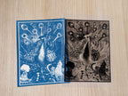 peacock stencil for cyanotype