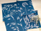 pressed flower on fabric cyanotype kit