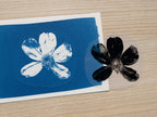pressed flowers cyanotype print with stencils