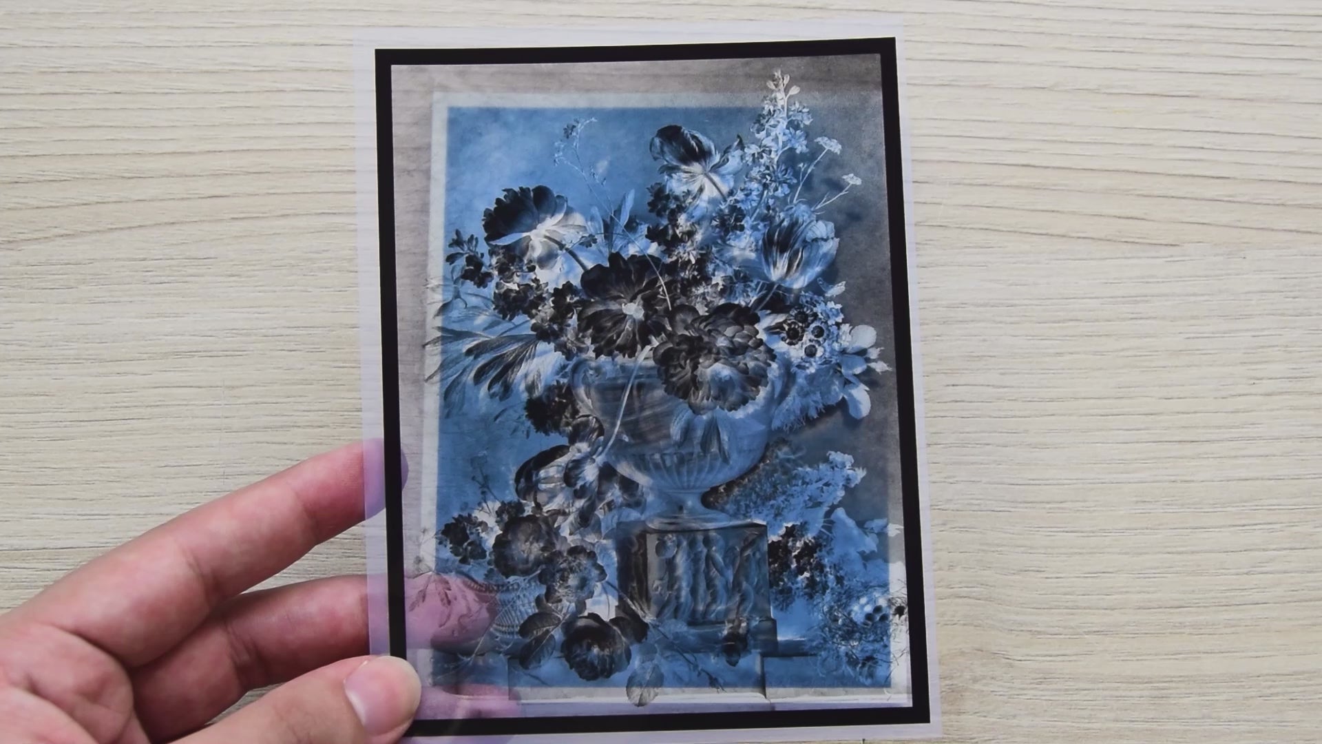 still life cyanotype stencils