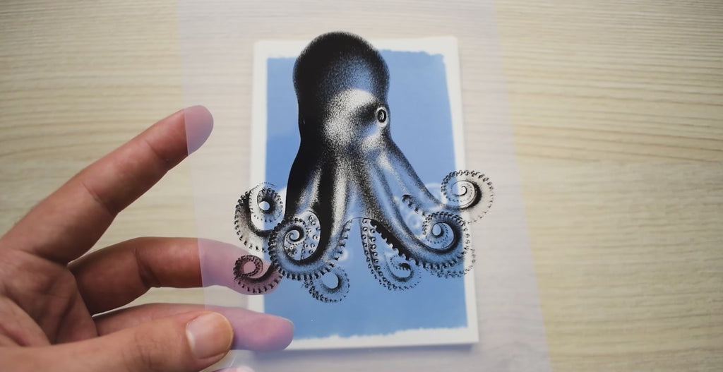 sea animals cyanotype stencils