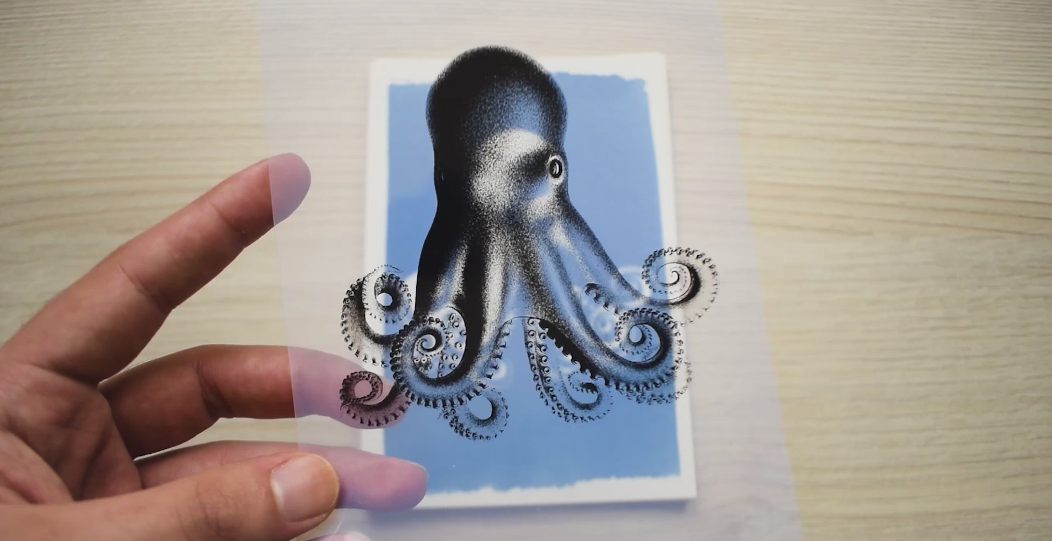 sea animals cyanotype stencils
