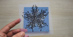 sea creatures cyanotype stencils