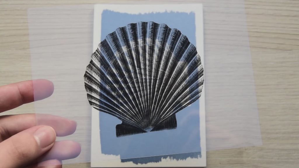 shell animals cyanotype stencils