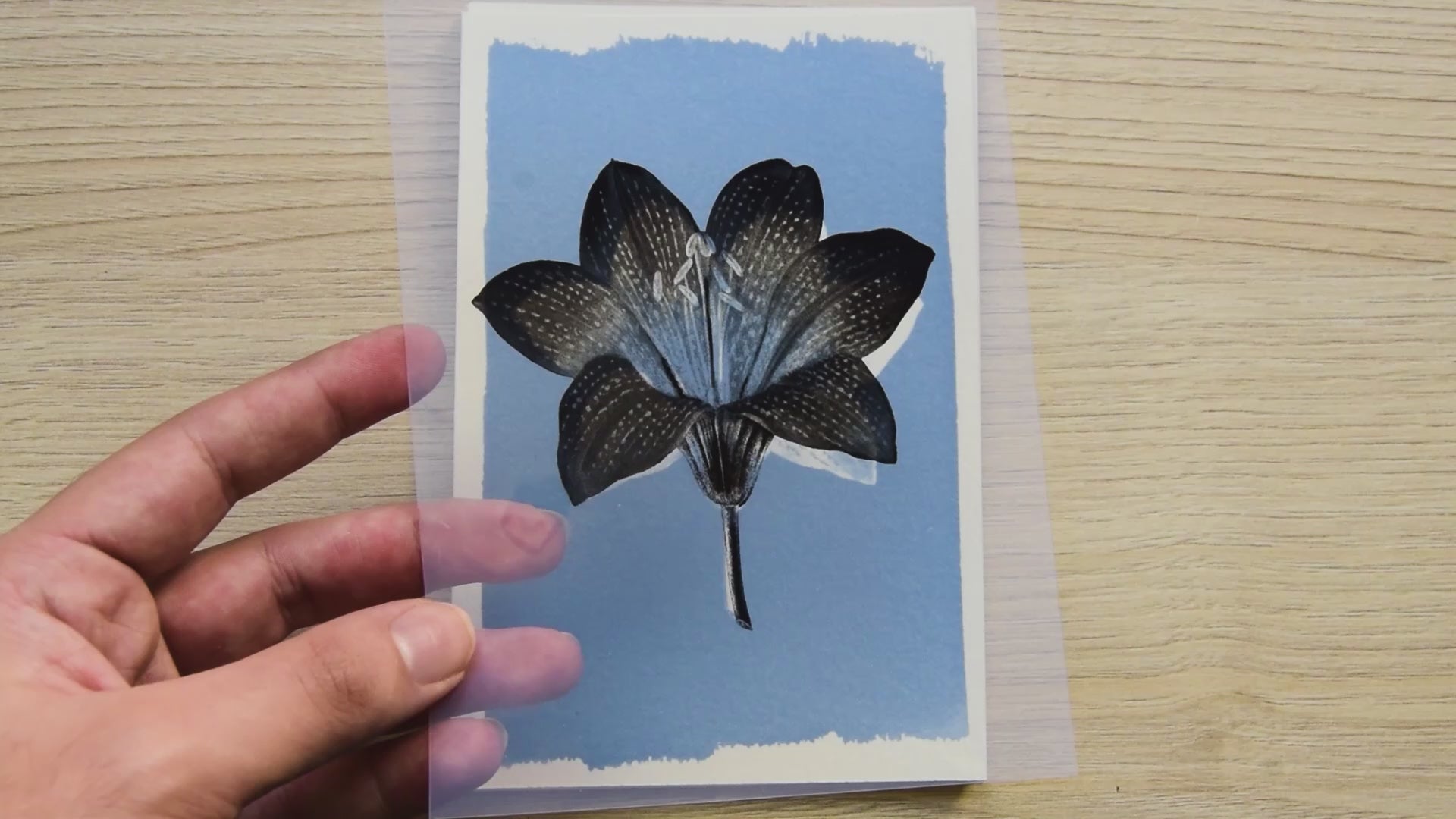 pressed flowers cyanotype stencils