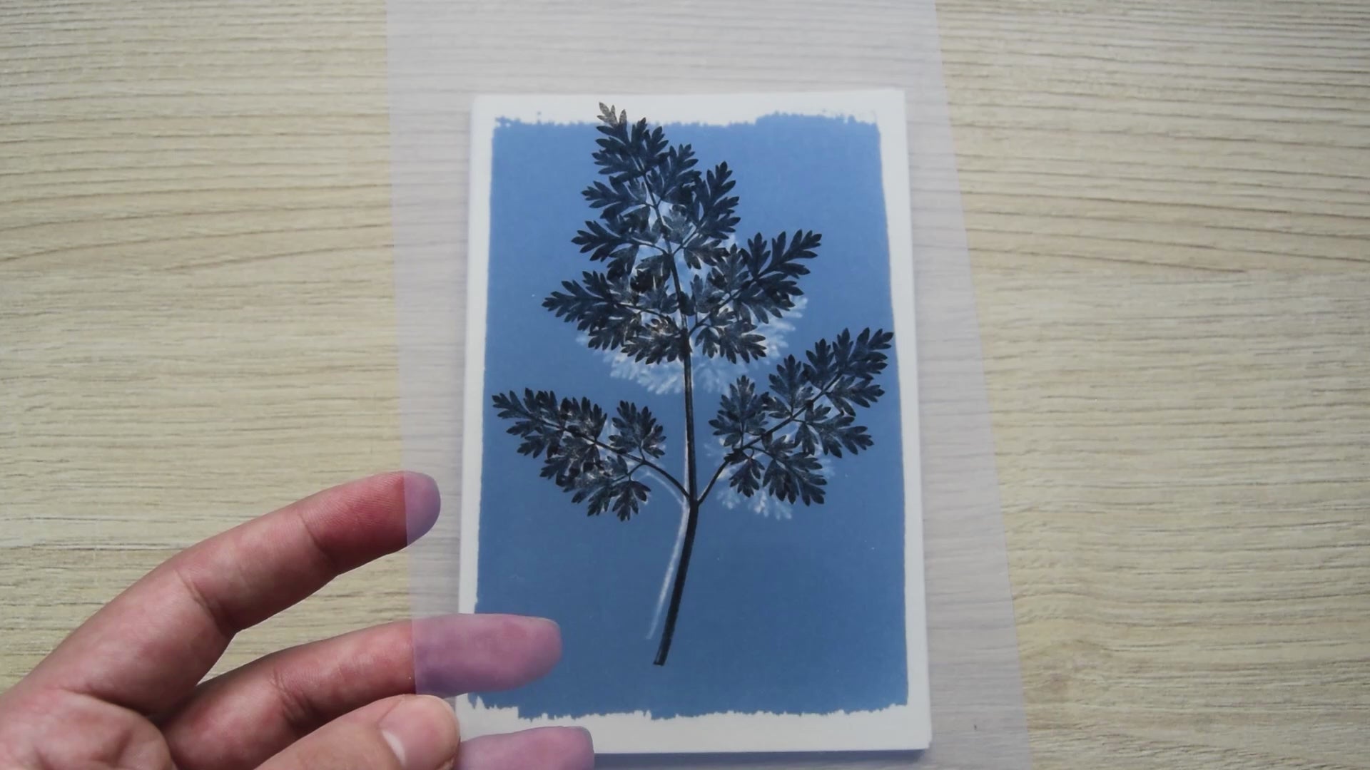 stencils for cyanotype