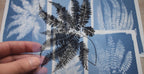 Fern Leaf Cyanotype prints
