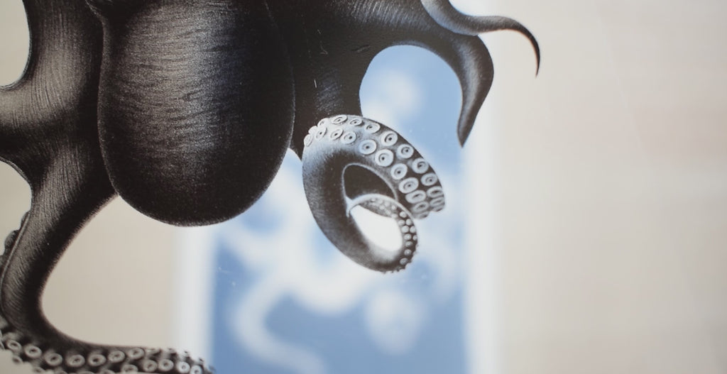 sea horse cyanotype stencils